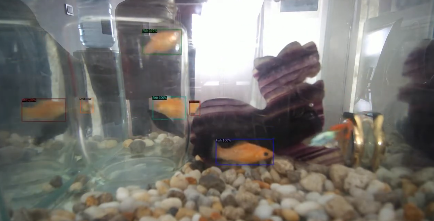 Fish Counting with Deep Learning Computer Vision Neural Network